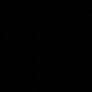 Meet your Posher, Wanda